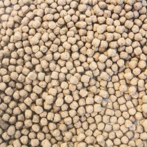 Fish Feed Pellets 2